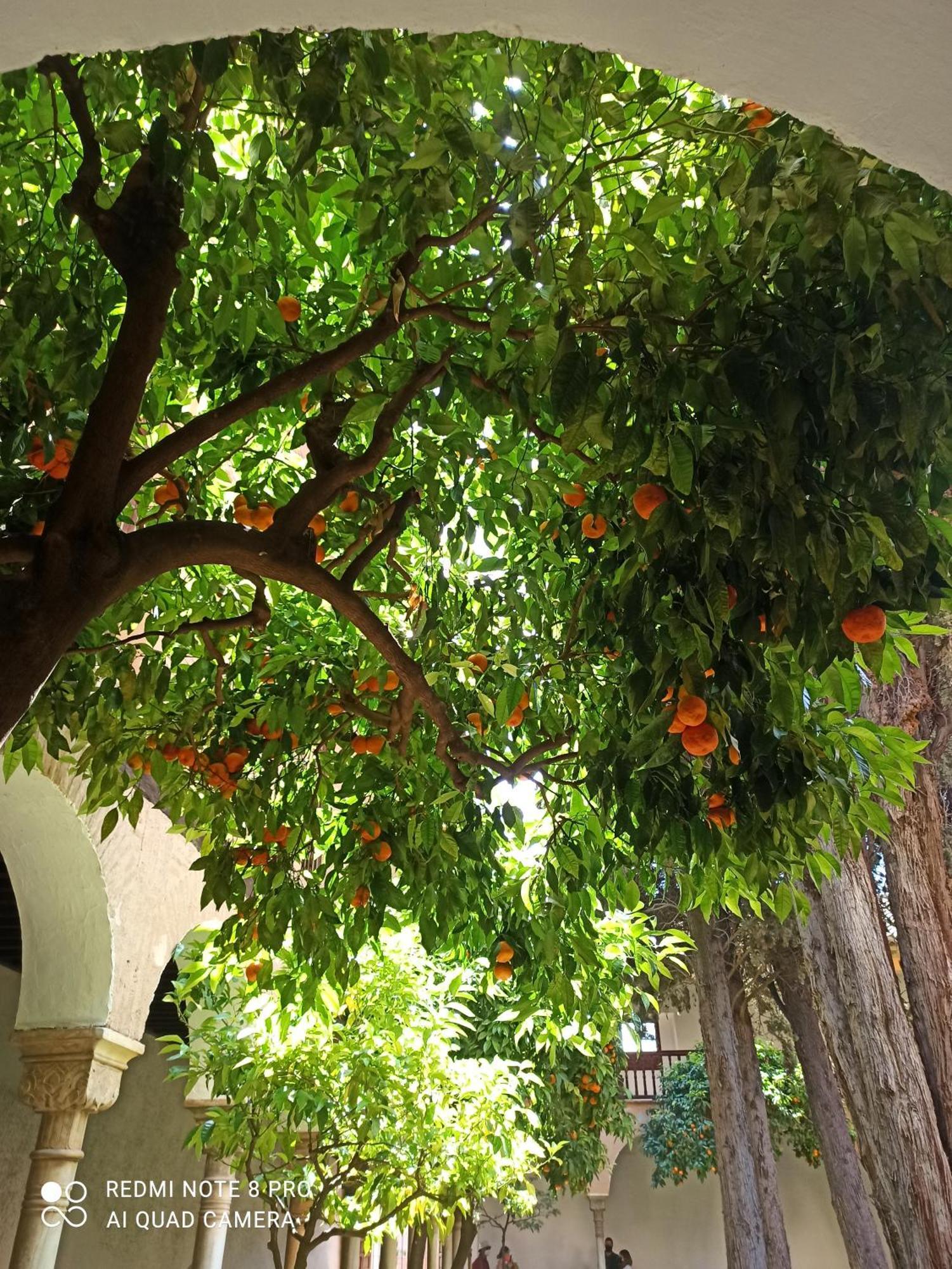 Villa Susana Торевьиа Экстерьер фото